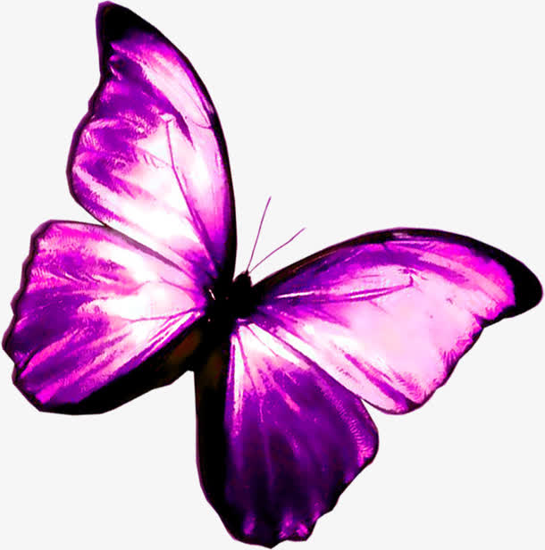 梦幻紫色光效手绘蝴蝶