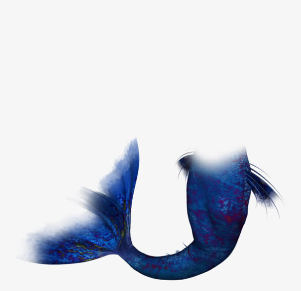 深蓝色美人鱼尾巴