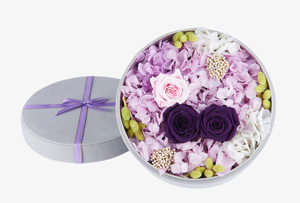 情人节高清紫色玫瑰花礼盒