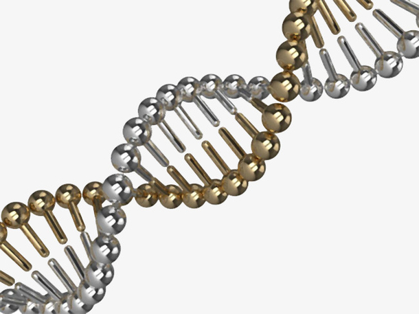 金色dna遗传物质基因肽链脱氧