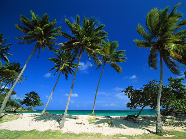 三亚高清合影沙滩海边椰子树