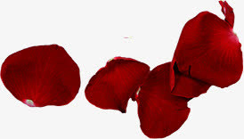 情人节红色玫瑰花瓣