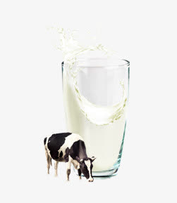 杯子牛奶奶牛