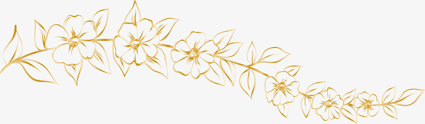 矢量金色花朵png图