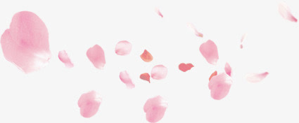 漂浮的粉红花瓣图片