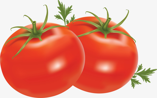 沾水的西红柿2