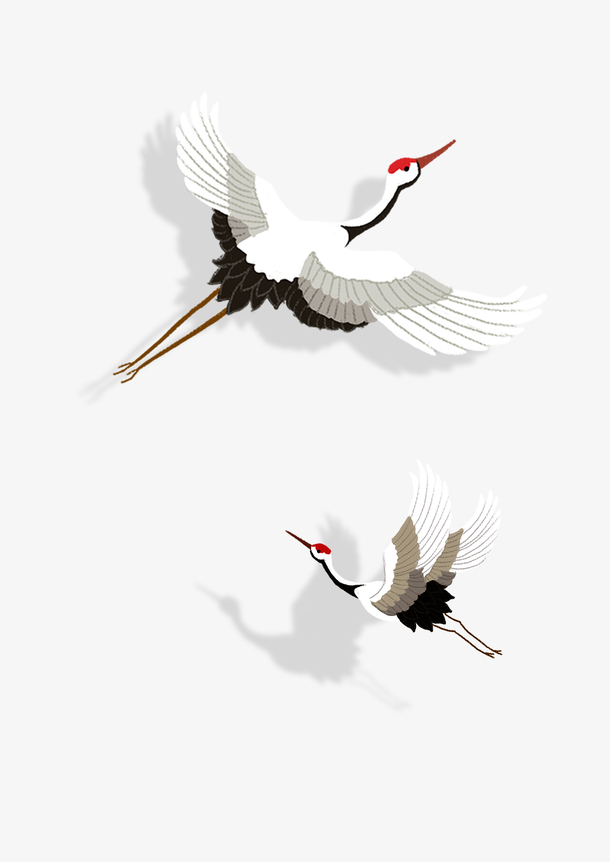 仙鹤飞翔展翅PNG透明图片，精美动物装饰元素，设计素材免费下载