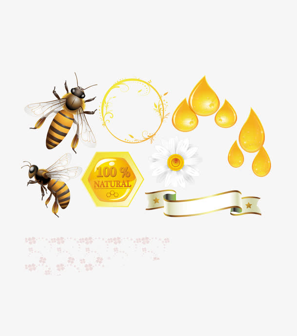 蜂蜜蜂巢蜜蜂模板下载