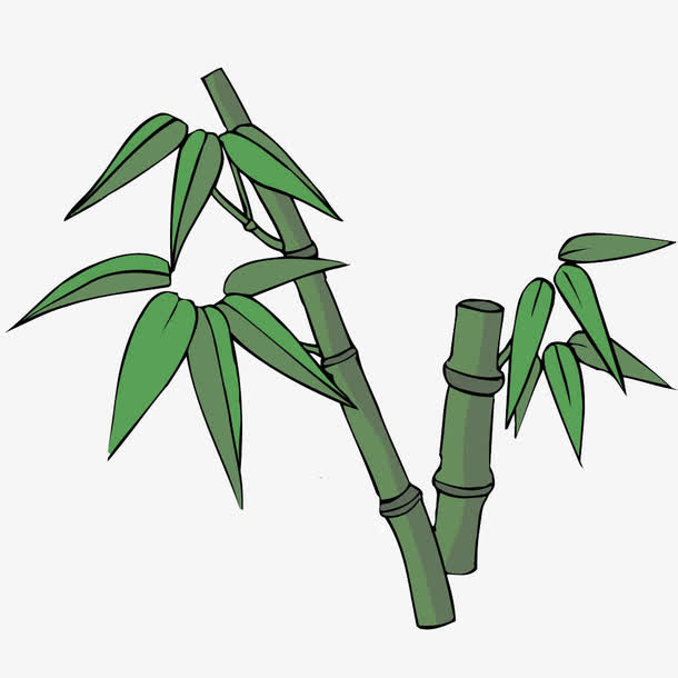 竹子竹子图标