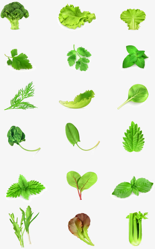 绿色生态果园蔬菜图形标识
