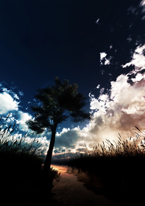 黑色天空白云效果树木摄影风格