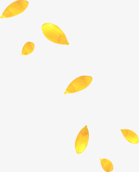 黄色花瓣叶子