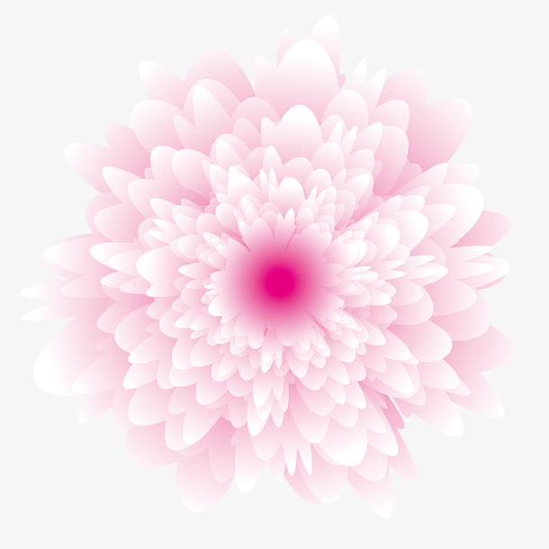粉色花朵