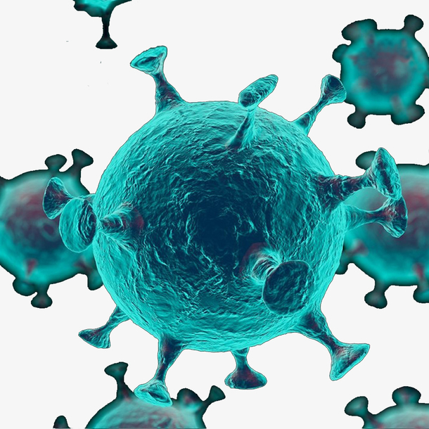 新型冠状病毒电镜图