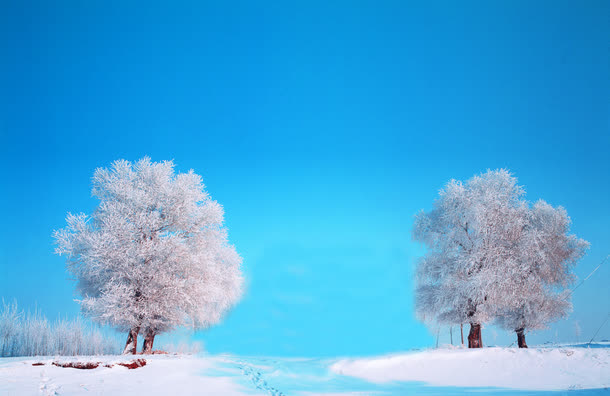 蓝色天空白色雪花