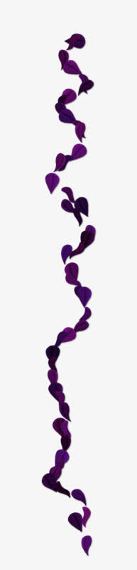 紫色花瓣波浪线