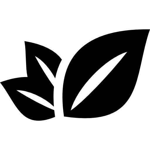树叶图标PNG透明免抠素材，高清设计元素下载