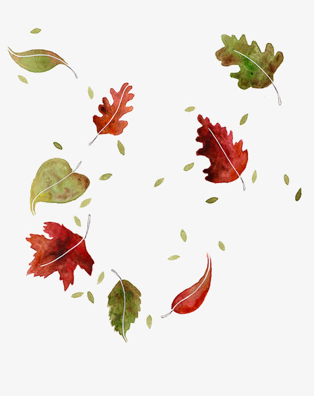 手绘水彩红色枫叶和绿色落叶