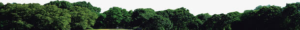 高清摄影实拍绿色山树木