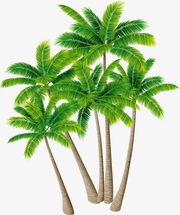 矢量椰子树素材绿色植物
