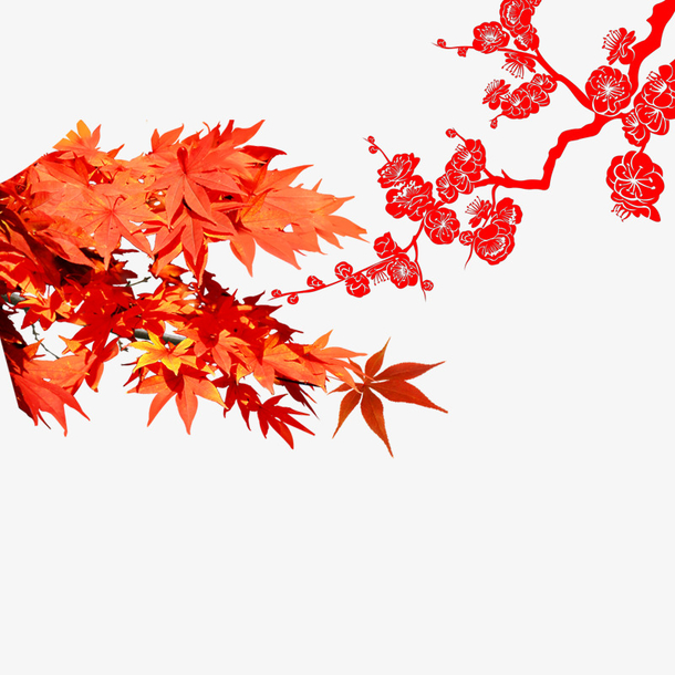 红色枫叶图案