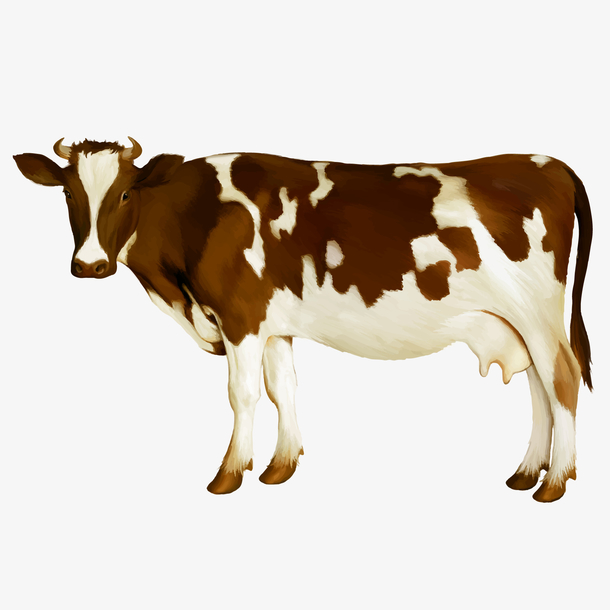 卡通农场奶牛动物设计