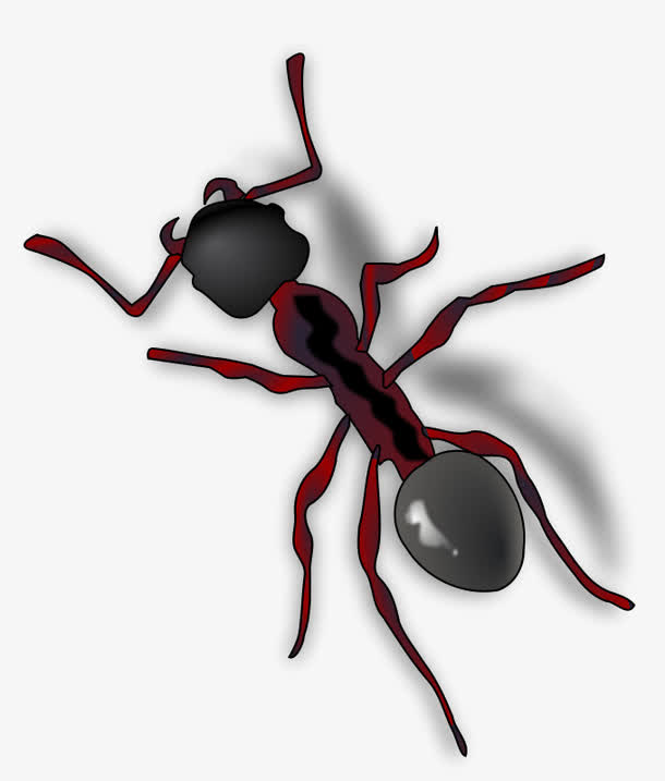 红色的卡通大毒蚂蚁