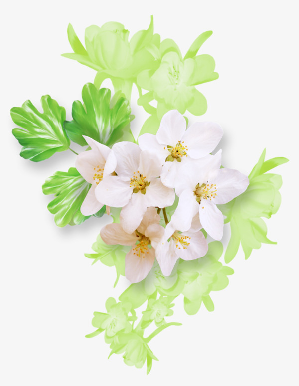 卡通白色花朵绿色花卉背景