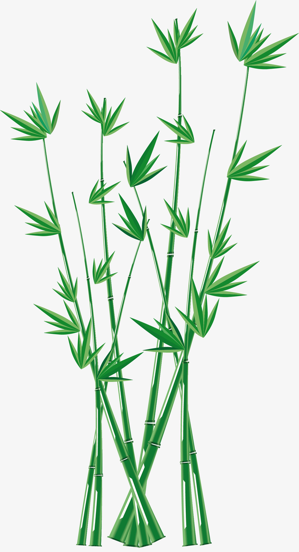传统风格竹子