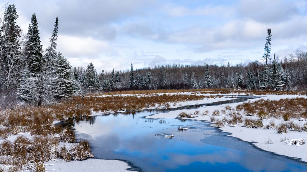 河流 树木 雪 冬天 景观 自然 4k壁纸 3840x2160