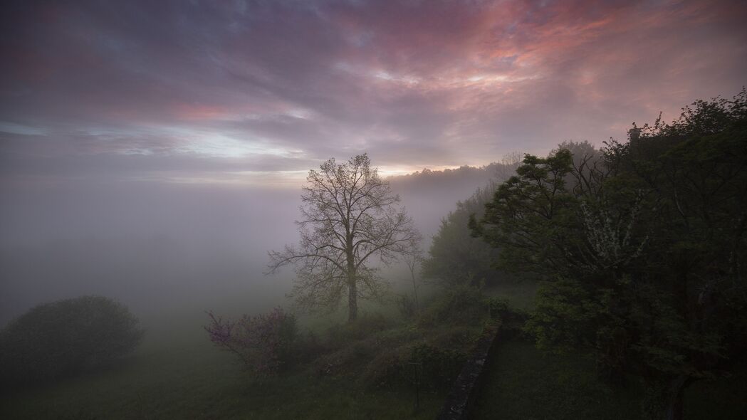树木 雾 云 自然 风景 4k壁纸 3840x2160
