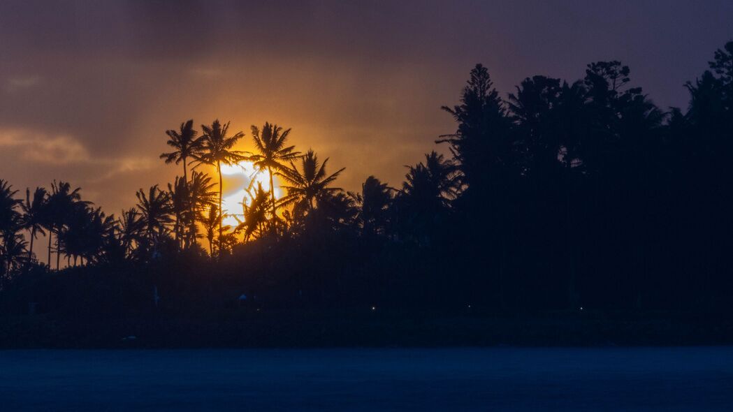 日落 热带 太阳 棕榈树 海洋 4k壁纸 3840x2160