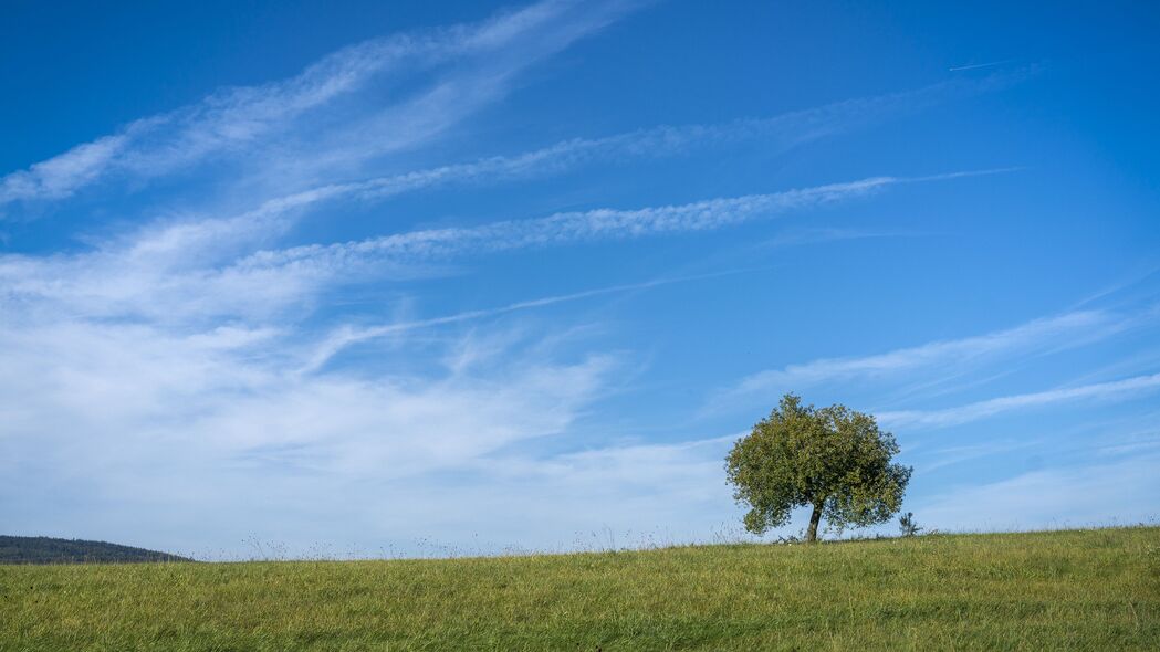 地平线 树 草 天空 自然 云 4k壁纸 3840x2160