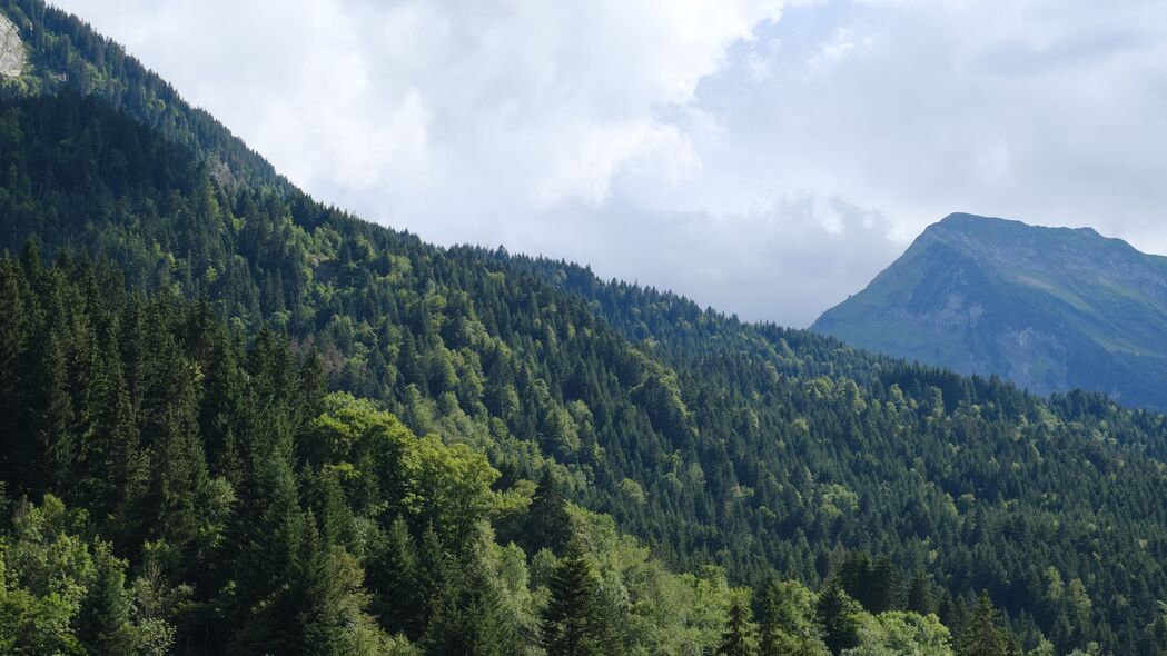 斜坡 树木 森林 山脉 自然 天空 风景 4k壁纸 3840x2160
