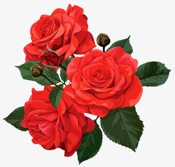 红色带刺玫瑰