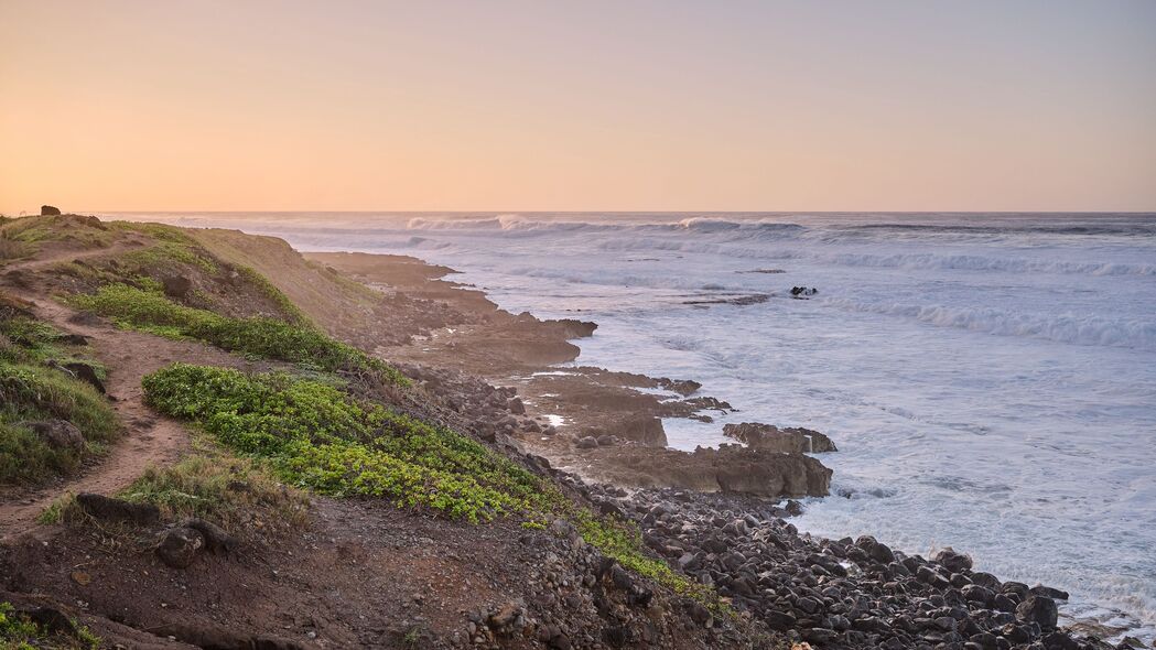 海岸石草自然美景，高清4K壁纸，3840x2160分辨率，畅享自然之美