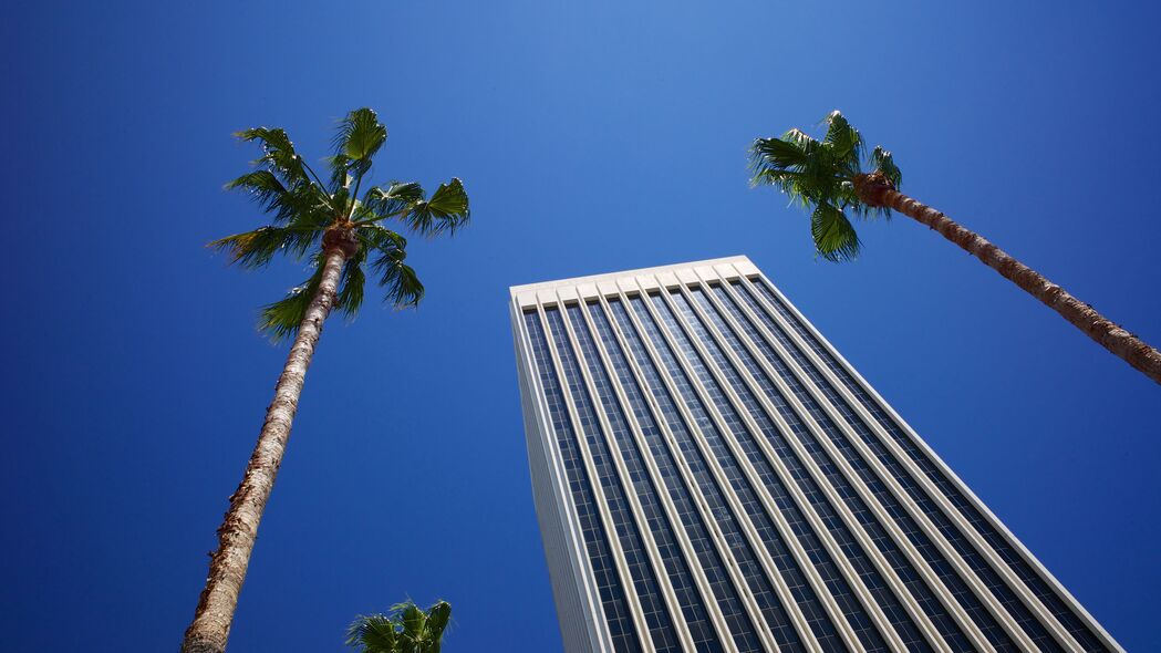 建筑 棕榈树 建筑 天空 仰视 4k壁纸 3840x2160