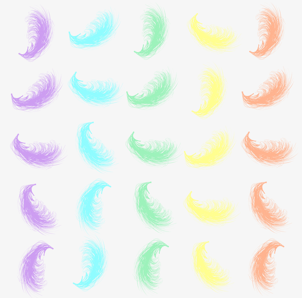 五色形态羽毛