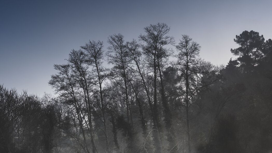 树木 雾 河流 反射 自然 4k壁纸 3840x2160