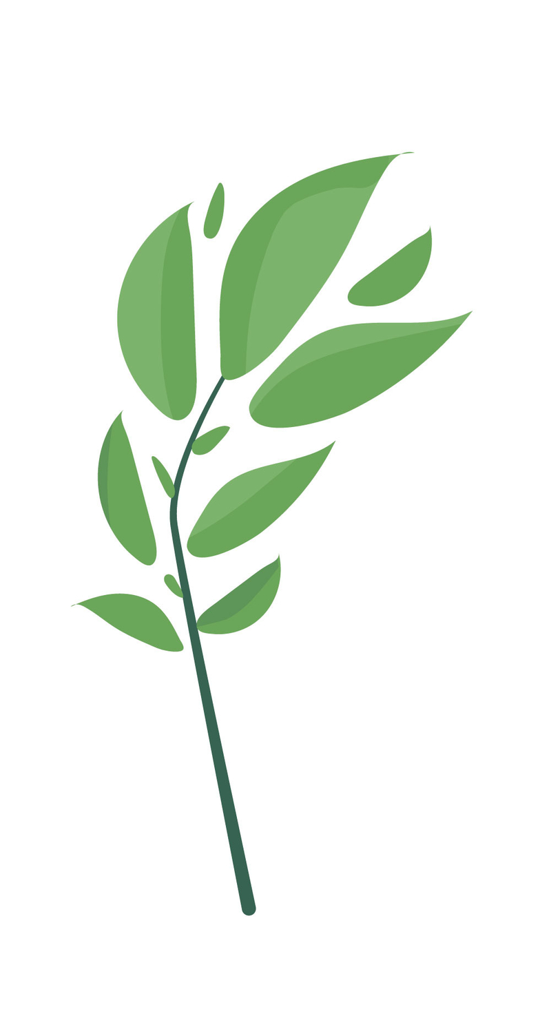 绿色扁平微光立体阴影植物树叶子插画