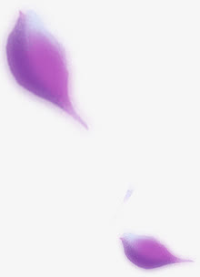 漂浮紫色卡通飞舞花瓣修饰