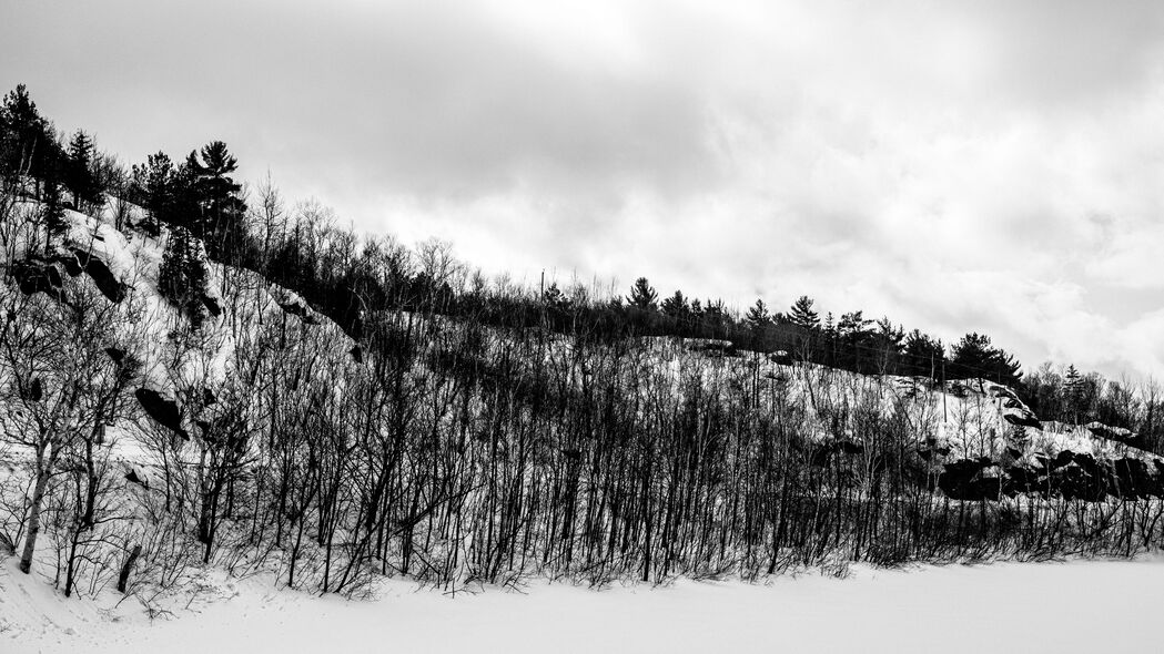 山丘 树木 雪 冬天 自然 黑白 4k壁纸 3840x2160