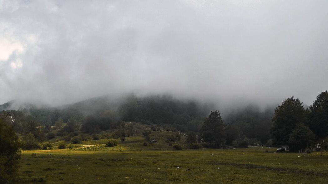 草 草地 树木 雾 风景 4k壁纸 3840x2160