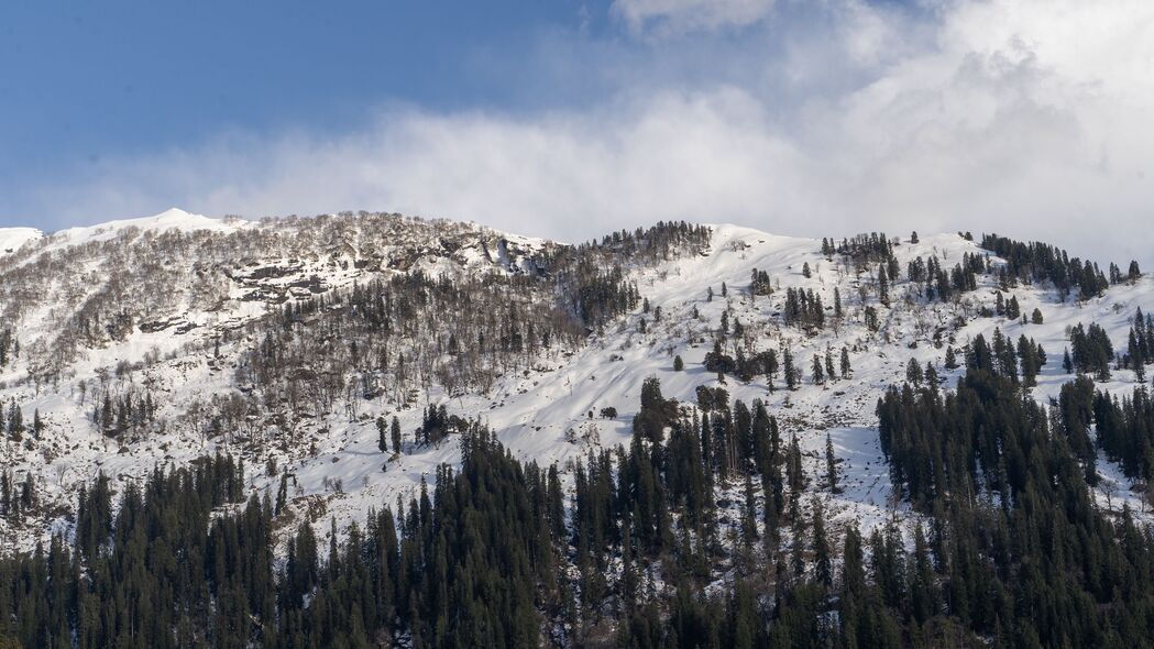山 树木 斜坡 雪 景观 4k壁纸 3840x2160