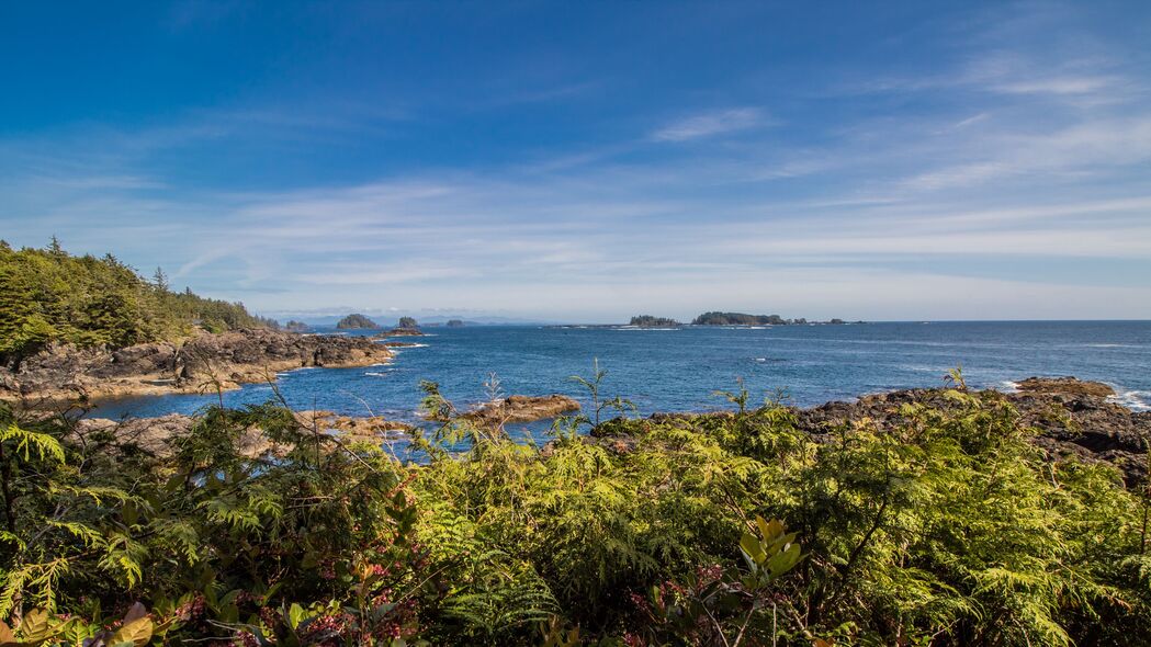 海岛草甸4K超高清壁纸，自然美景，3840x2160分辨率，免费下载