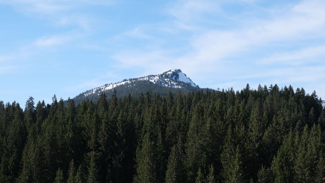 山 雪 树 森林 风景 4k壁纸 3840x2160
