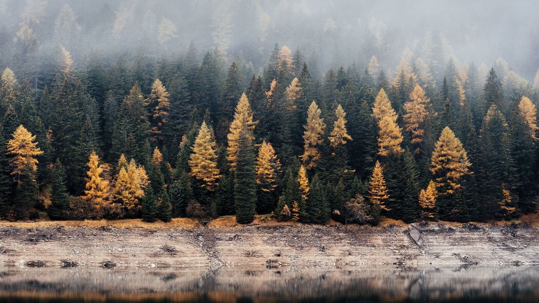 森林 湖泊 雾 反射 自然 静音 4k壁纸 3840x2160