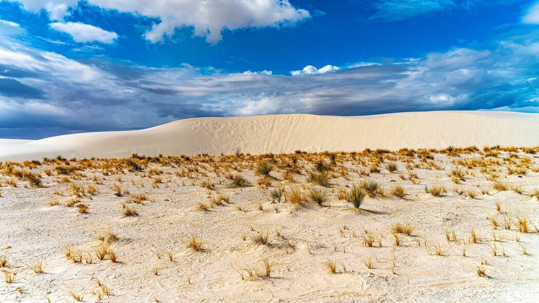 沙漠 沙子 草 干燥 天空 云 4k壁纸 3840x2160