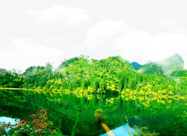 九寨沟湖边森林风景背景
