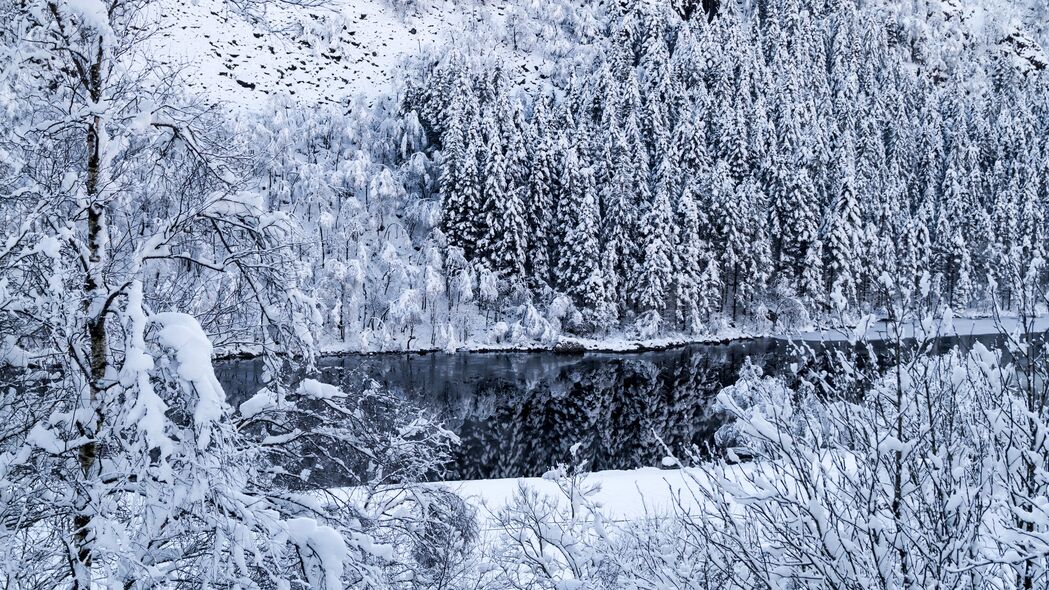 河流 海岸 雪 斜坡 树木 冬季 4k壁纸 3840x2160